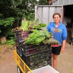 Antioch College student harvests vegetables