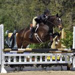Emory & Henry College student rides a horse for an equestrian event