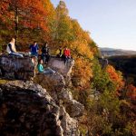 Juniata students look at the gorgeous autumn leaves near campus