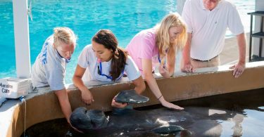 students work with sealife