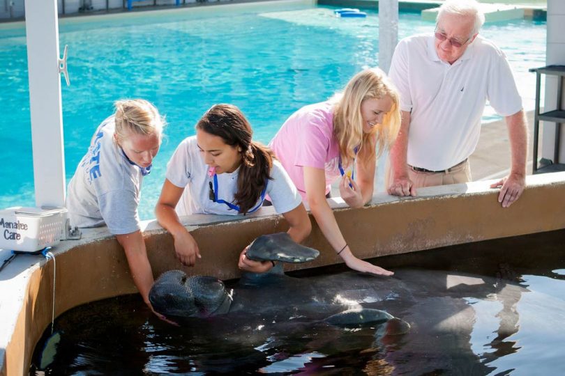 students work with sealife