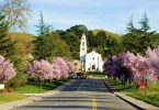 A view of the Saint Mary's College campus in the spring