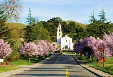 A view of the Saint Mary's College campus in the spring