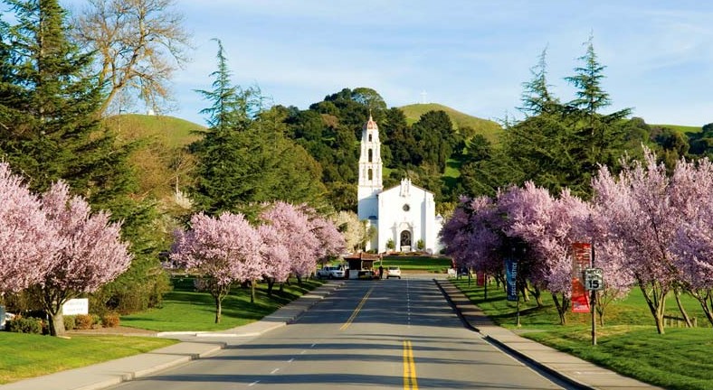 A view of the Saint Mary's College campus in the spring