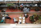 Hampshire College students in a greenhouse