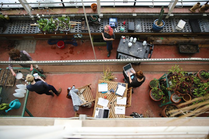 Hampshire College students in a greenhouse