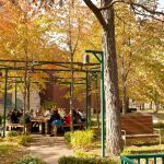 A class studying outside in the Beloit College poetry garden