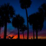 Students hang out and enjoy the sunset at the New College Bayfront.