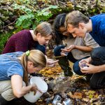 Three Guilford College students and their Biology professor do research at a creek in the campus woods.