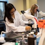 students working in the lab